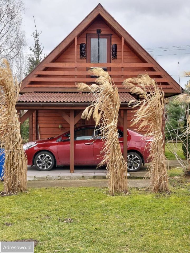 Dzia Ka Rdzuch W Kolonia Bez Po Rednika M