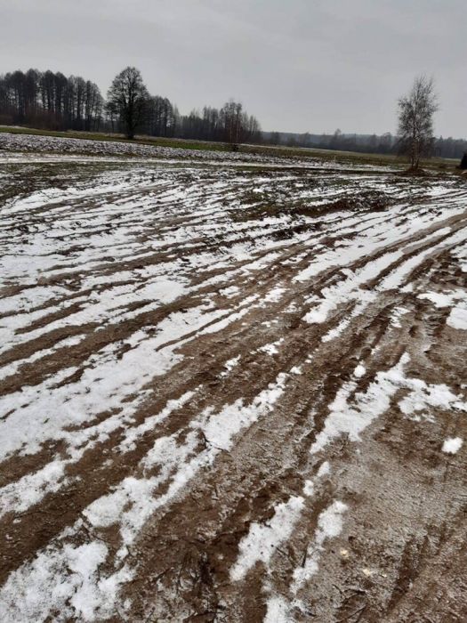 Działka Guty Bujno bez pośrednika 1 9 ha