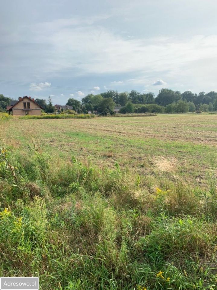 Dzia Ka Wisznia Ma A Ul Nad Potokiem Bez Po Rednika M