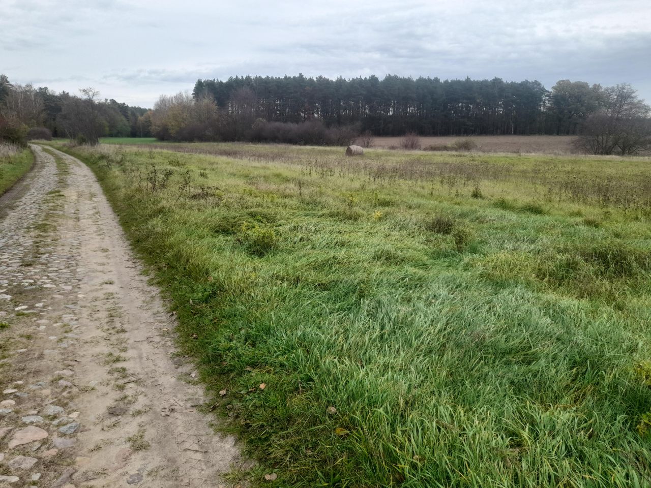 Działka Dąbie ul Cicha bez pośrednika 1922 m2