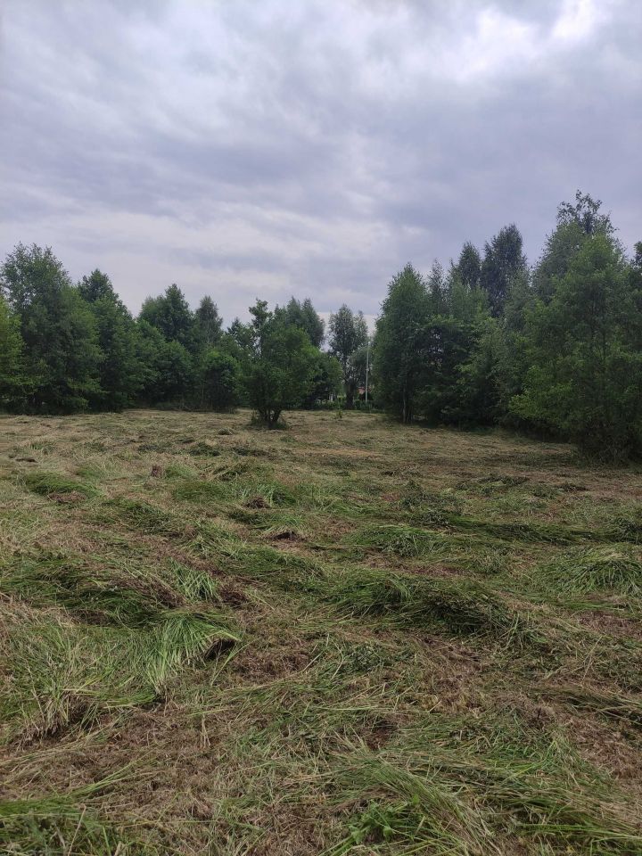 Dzia Ka D Be Wielkie Ul Polna Bez Po Rednika M