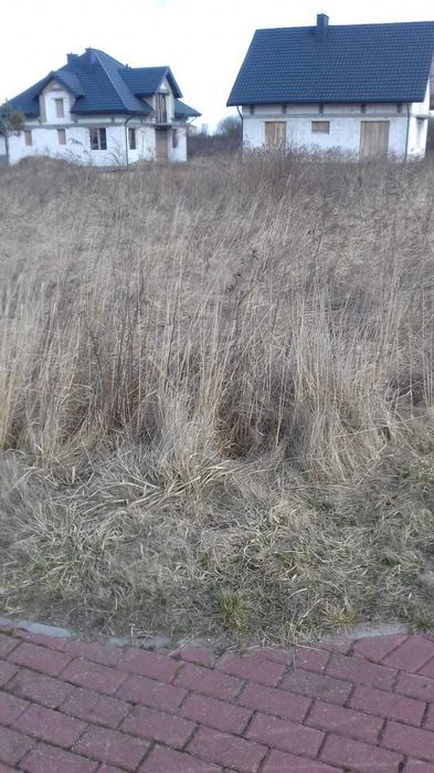 Dzia Ka Chmielnik Ul Kalinowa Bez Po Rednika M