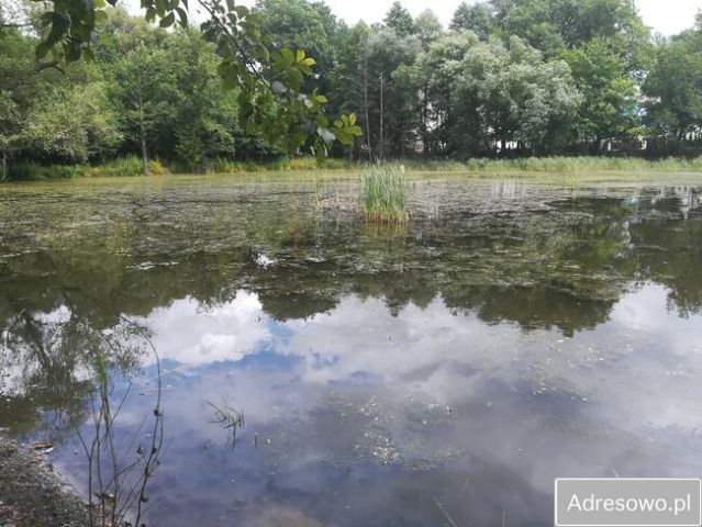 Działka Grabów nad Pilicą bez pośrednika 2 14 ha