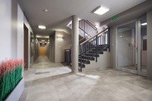 Wiczlino - Ogród. Zdjęcie 8