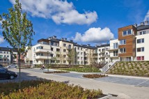 Sokółka Zielenisz. Zdjęcie 6