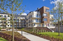 Sokółka Zielenisz. Zdjęcie 7