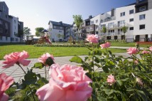 Patio Róży. Zdjęcie 2