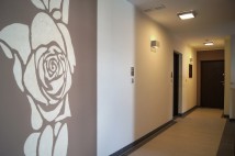 Patio Róży. Zdjęcie 5