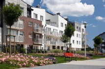 Patio Róży. Zdjęcie 7