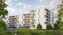Apartamenty Saska Nad Jeziorem. Zdjęcie 2