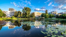 Apartamenty Saska Nad Jeziorem. Zdjęcie 1