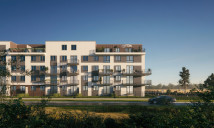 Cynamonowa Vita. Zdjęcie 5