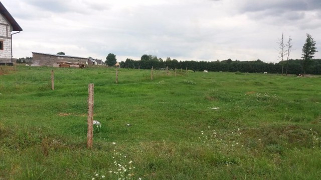 Działka rolno-budowlana Szymany. Zdjęcie 1