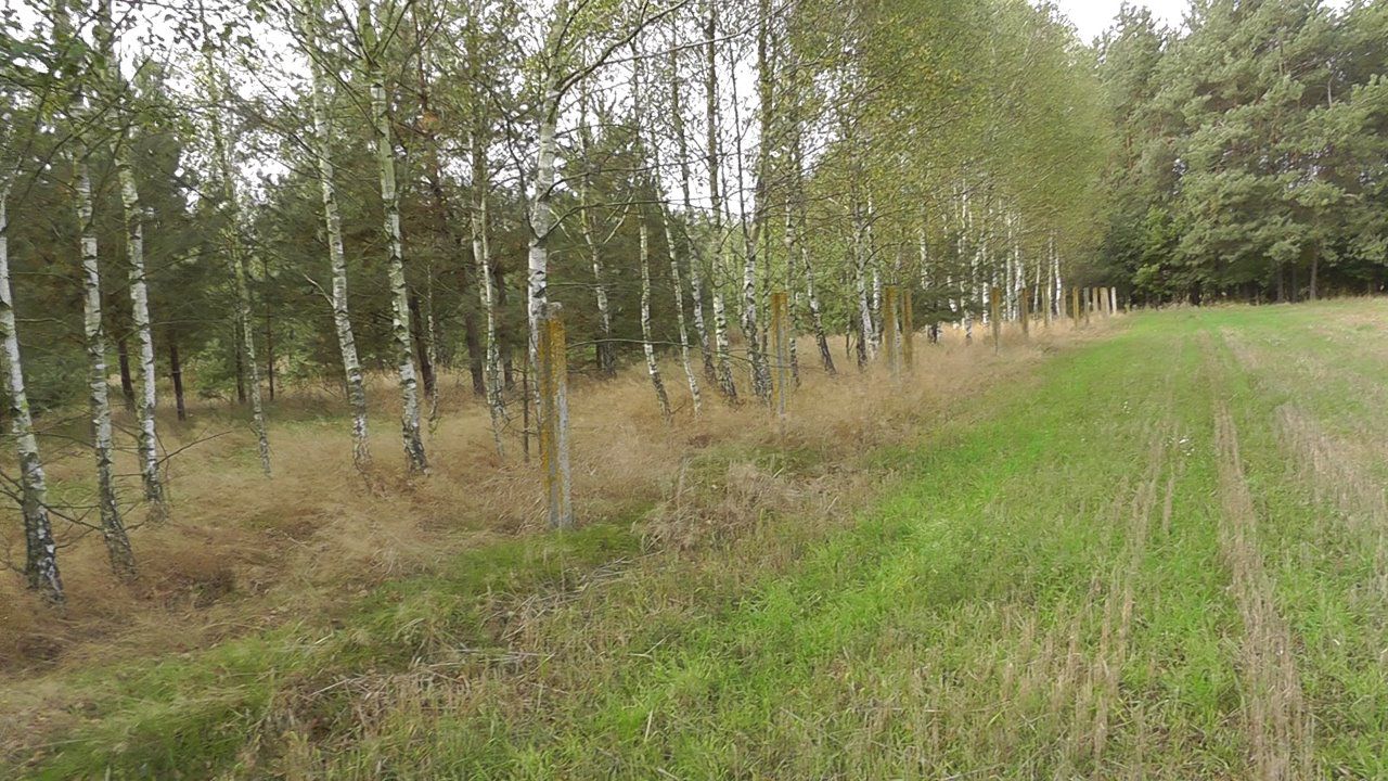 Działka inwestycyjna Zabłocie-Kolonia. Zdjęcie 9