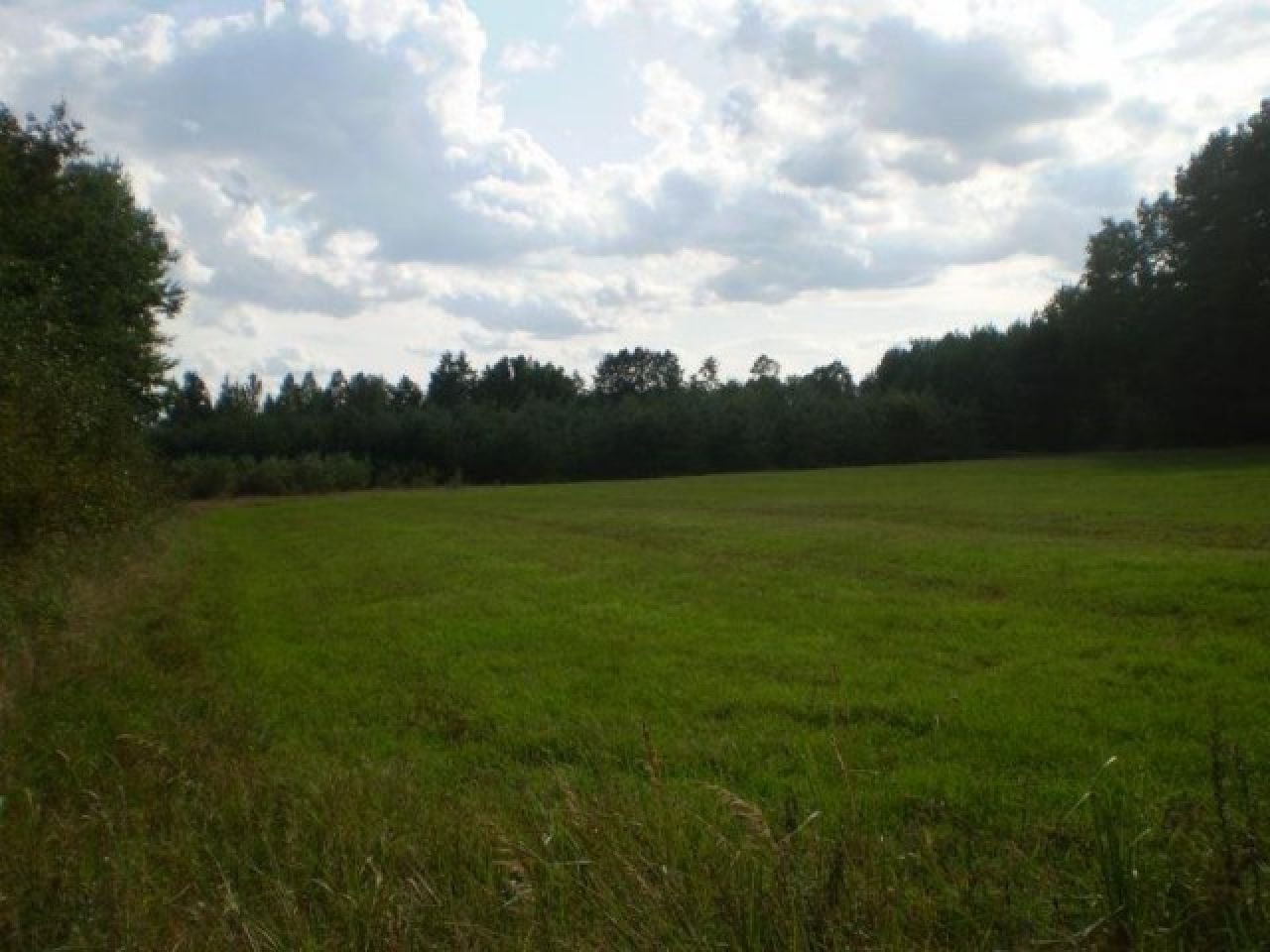 Działka budowlana Papiernia. Zdjęcie 6