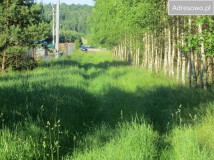 Działka siedliskowa Kołodno. Zdjęcie 2