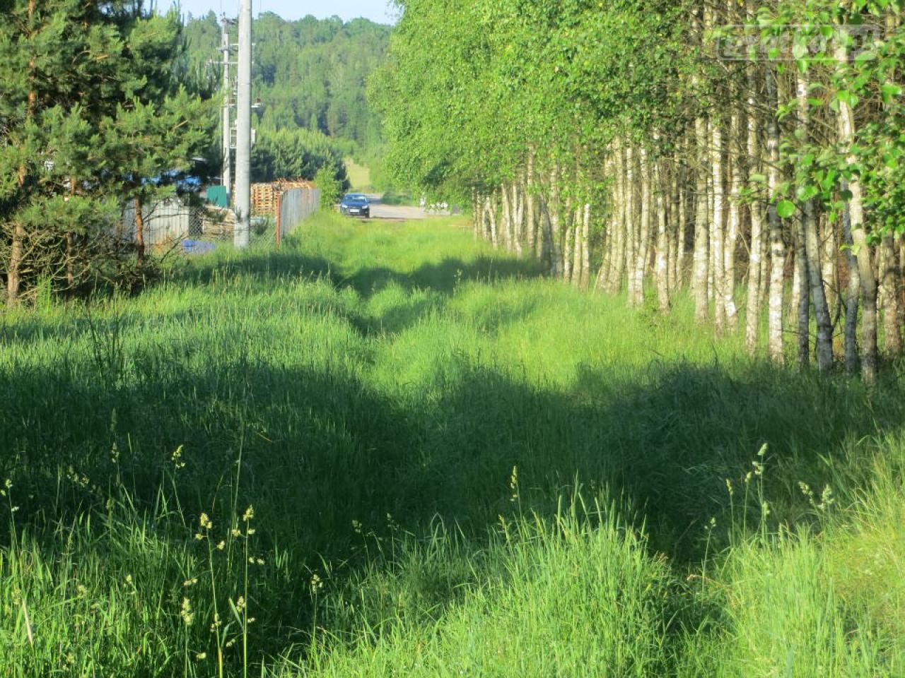 Działka siedliskowa Kołodno. Zdjęcie 3