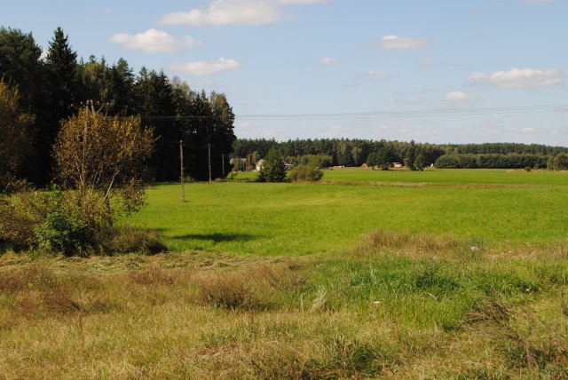 Działka rolno-budowlana Witunia. Zdjęcie 1