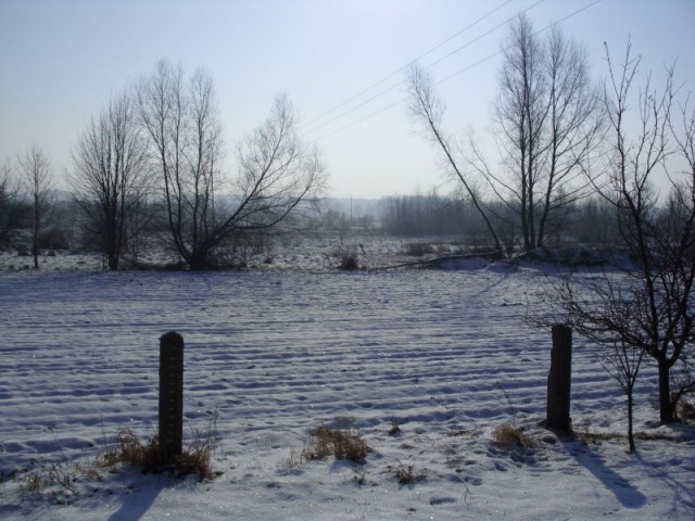 Działka rolno-budowlana Koźla. Zdjęcie 1