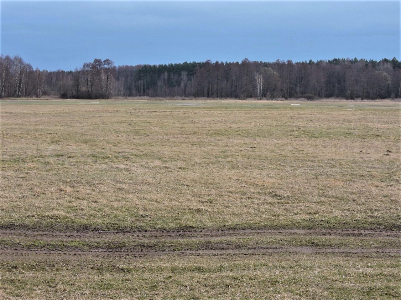 Działka rolna Kąck, ul. Malownicza. Zdjęcie 5
