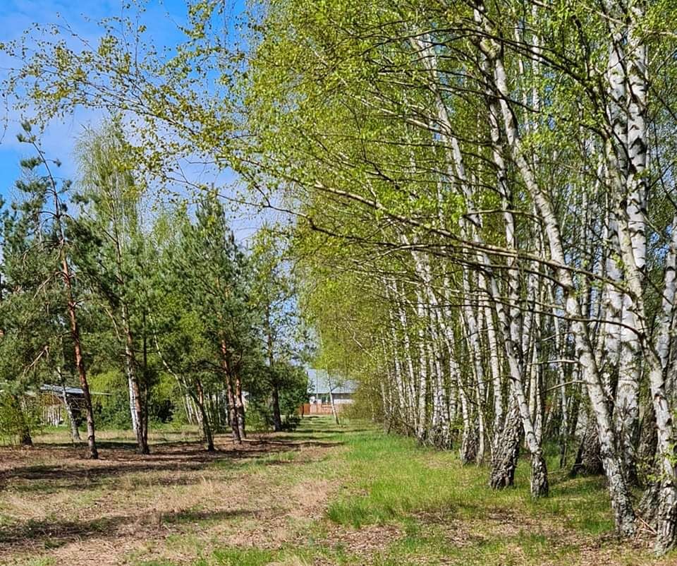 Działka budowlana Plewki