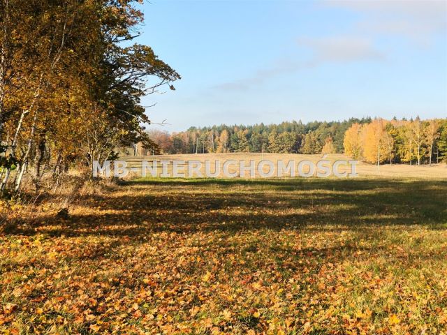 Działka inwestycyjna Gąsiorowo Olsztyneckie. Zdjęcie 6