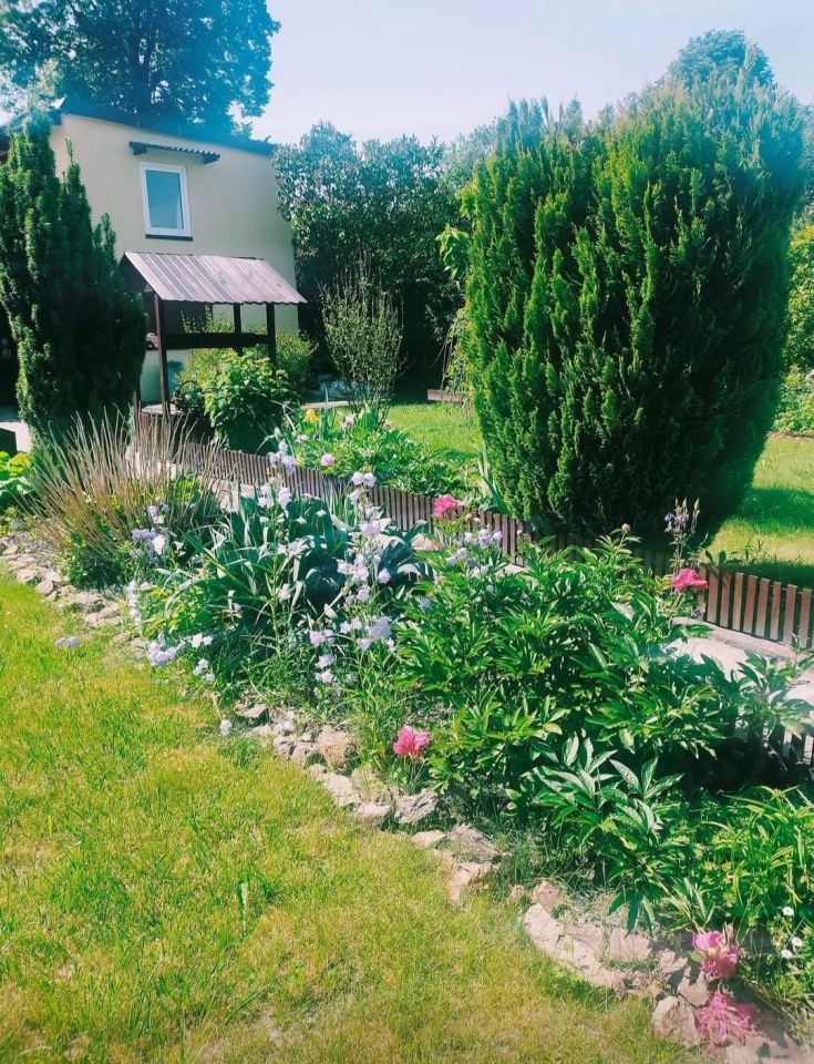 Działka rod Zabrze Biskupice. Zdjęcie 7