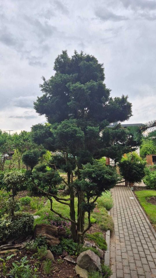 Działka rod Chojnice. Zdjęcie 6