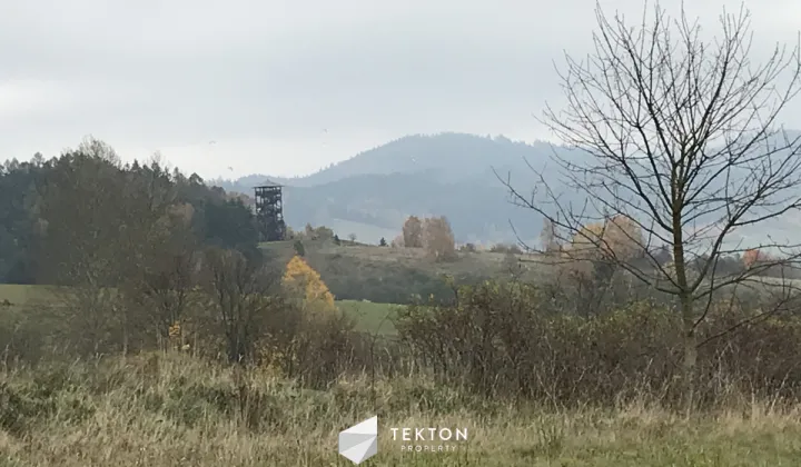 Działka budowlana Mieroszów, ul. Kwiatowa