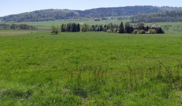 Działka rolna Płonina