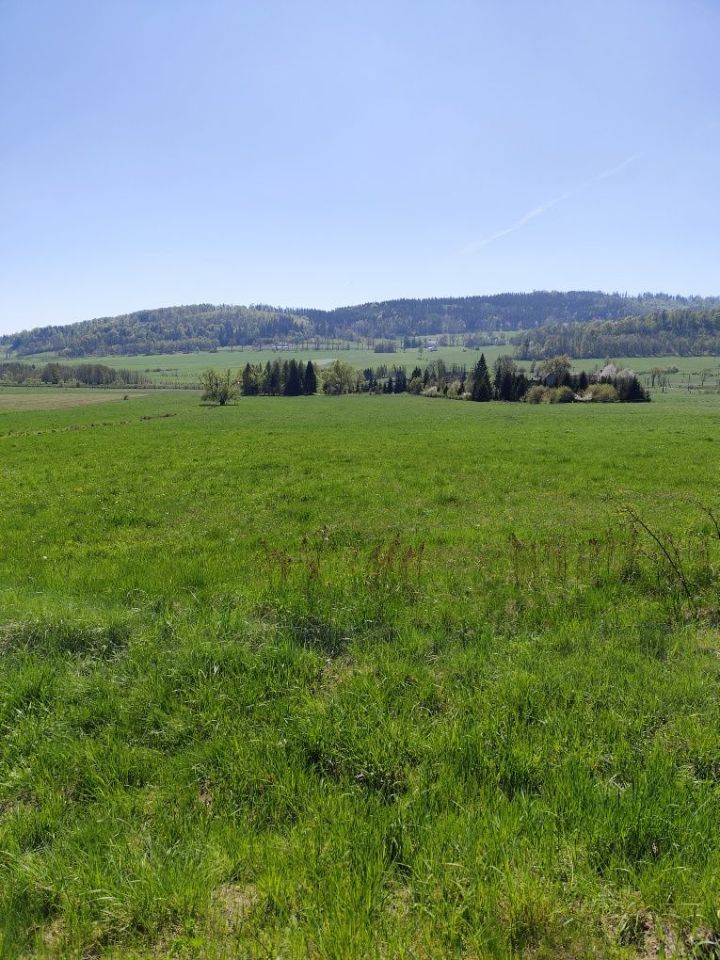 Działka rolna Płonina. Zdjęcie 2