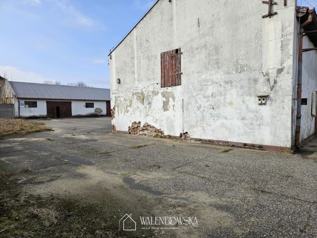 Hala/magazyn Staniewice. Zdjęcie 11
