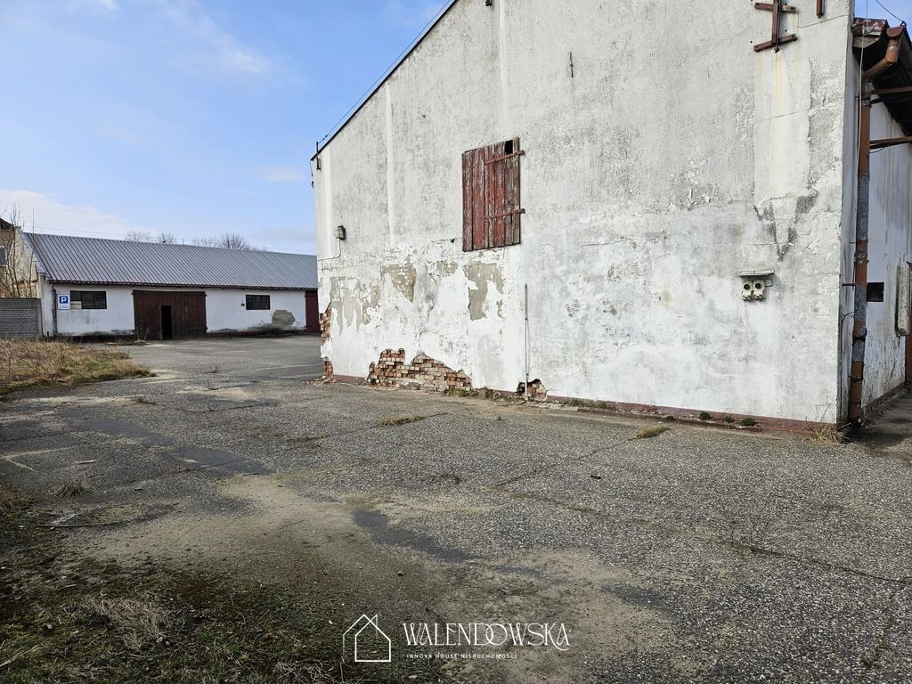 Hala/magazyn Staniewice. Zdjęcie 11