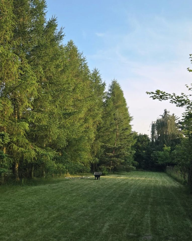 dom wolnostojący, 3 pokoje Sierpc, ul. Targowa. Zdjęcie 7