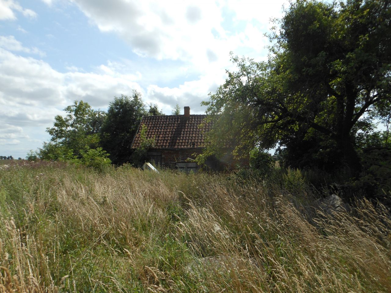 dom wolnostojący, 4 pokoje Śmiardowo. Zdjęcie 6