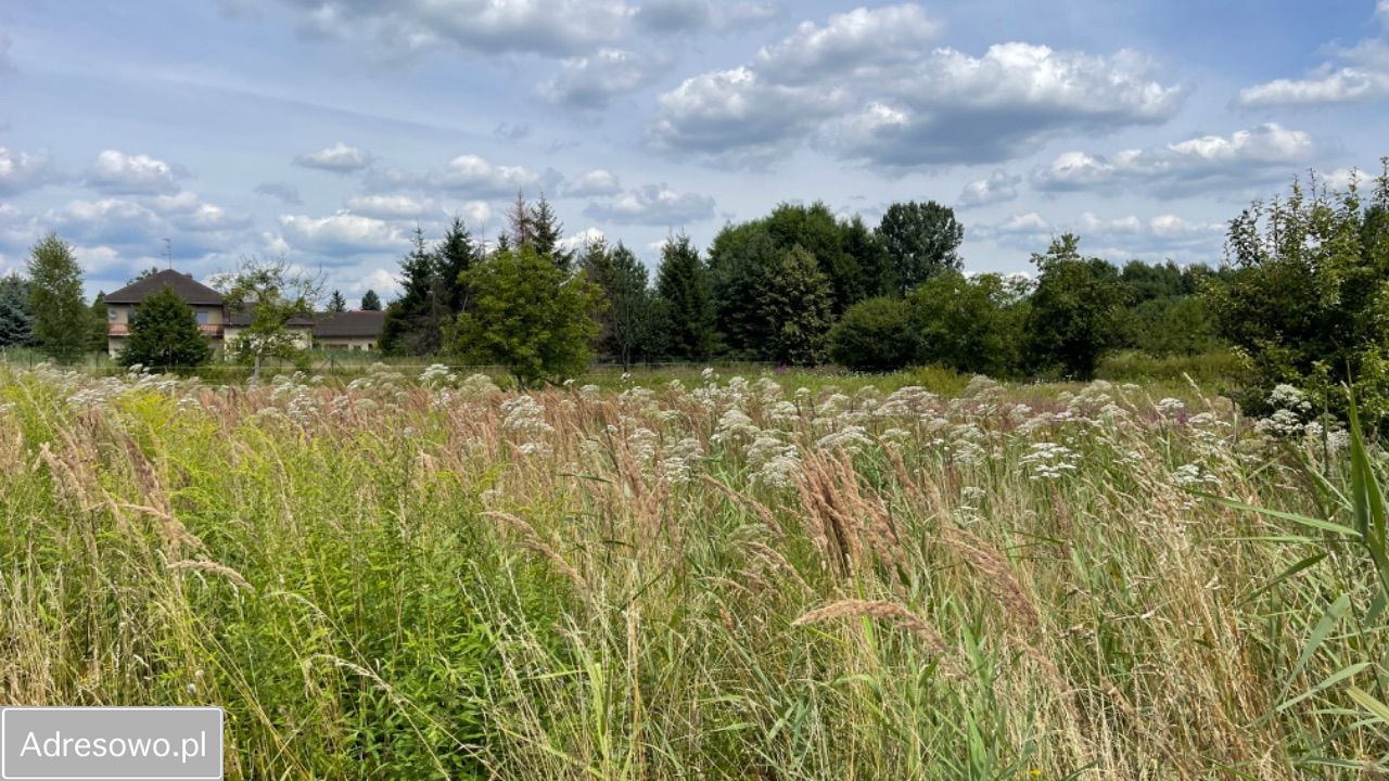 Działka budowlana Żarki, ul. Zawiszy. Zdjęcie 4