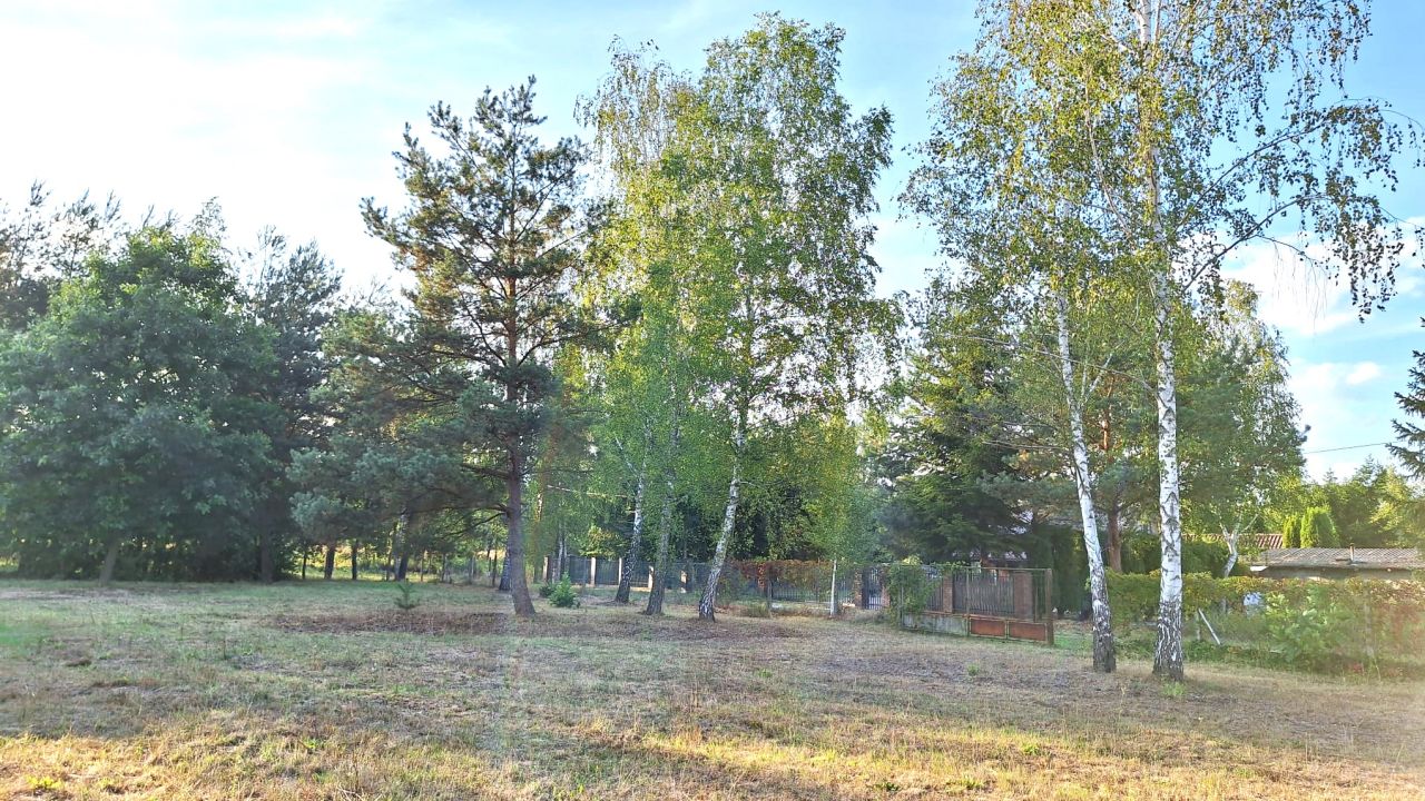 Działka budowlana Piskórka, ul. Świerkowa. Zdjęcie 6