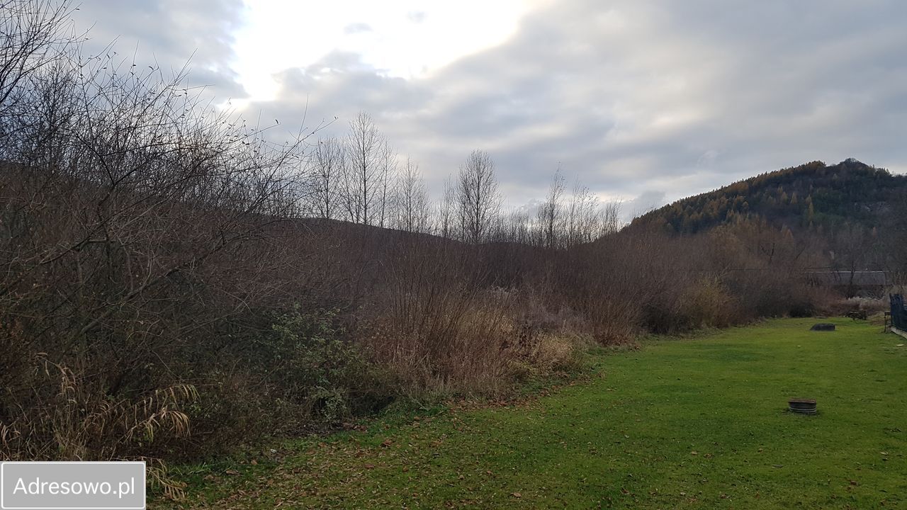 Działka inwestycyjna Bóbrka. Zdjęcie 8