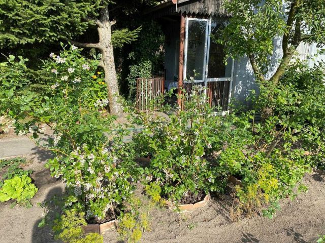 Działka rod Wągrowiec, ul. Gnieźnieńska. Zdjęcie 1