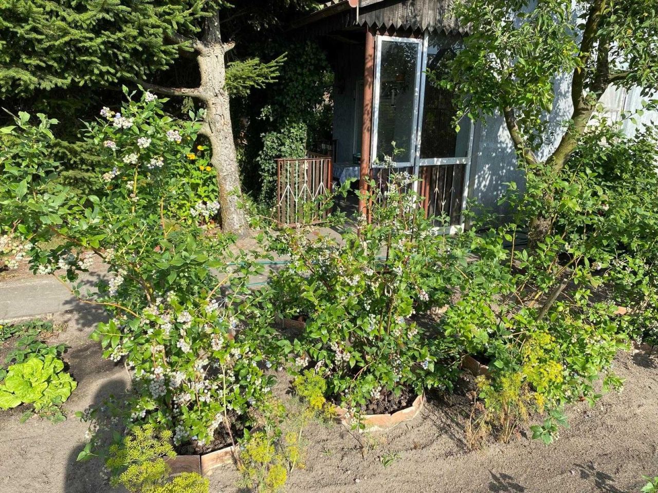 Działka rod Wągrowiec, ul. Gnieźnieńska. Zdjęcie 1