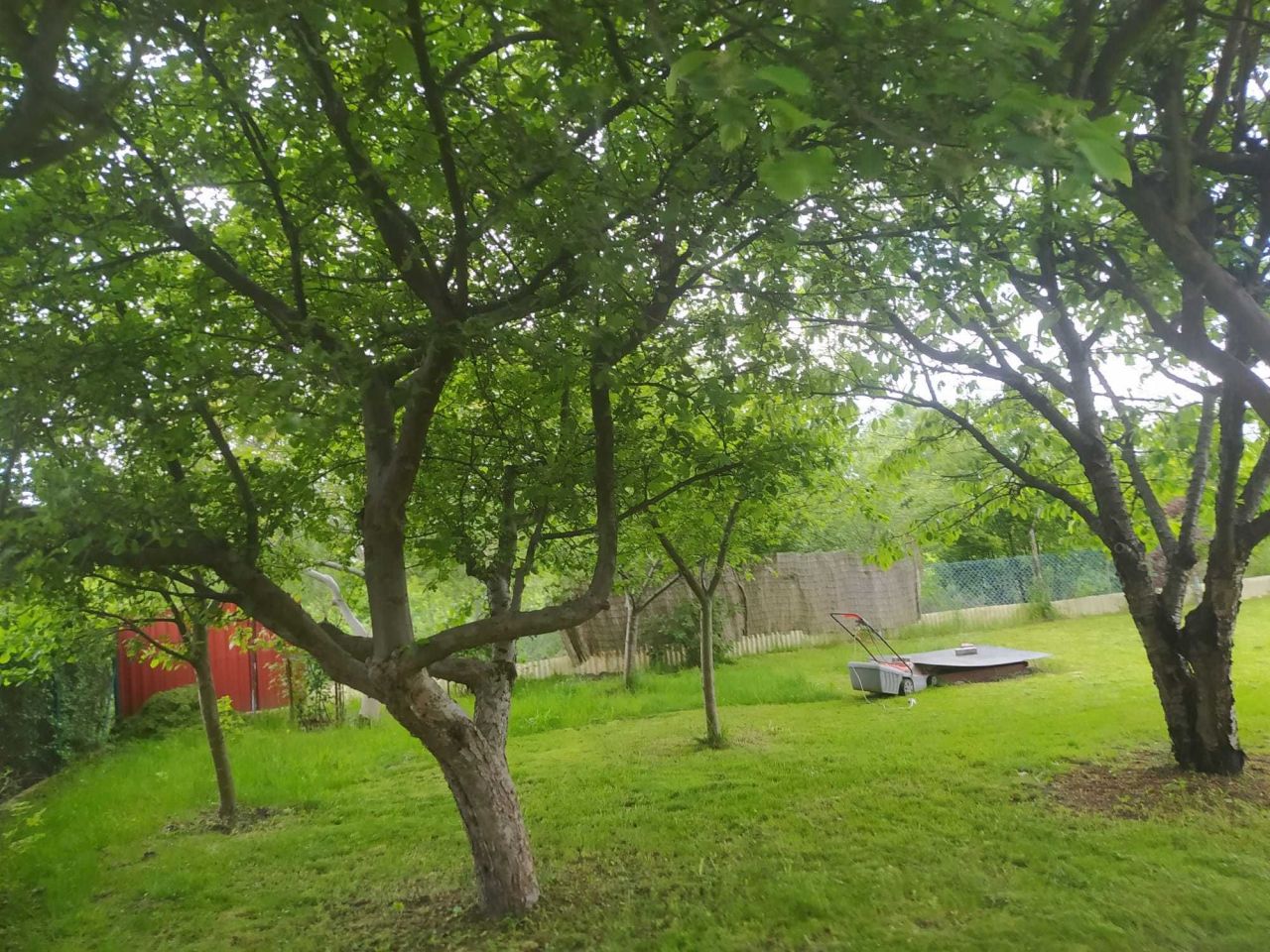 Działka rod Powązki. Zdjęcie 5