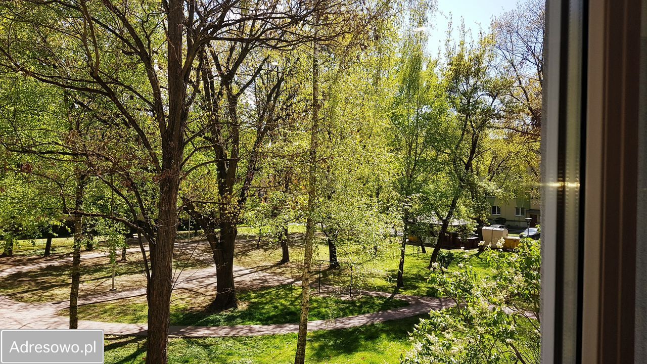 Mieszkanie 2-pokojowe Mielec, ul. Grunwaldzka. Zdjęcie 14