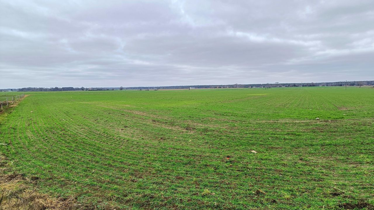 Działka budowlana Jerzykowo, ul. Wronczyńska. Zdjęcie 7