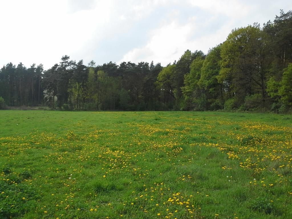 Działka budowlana Garbówek. Zdjęcie 4