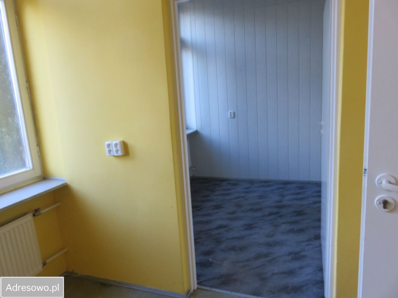 Lokal Paprotnia. Zdjęcie 11