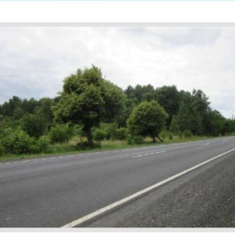 Działka inwestycyjna Dobrzelów. Zdjęcie 1