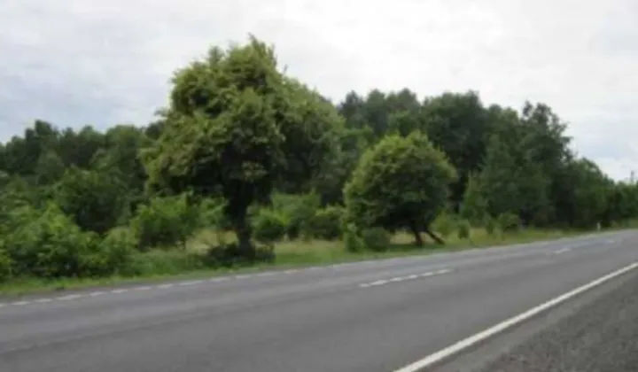 Działka inwestycyjna Dobrzelów