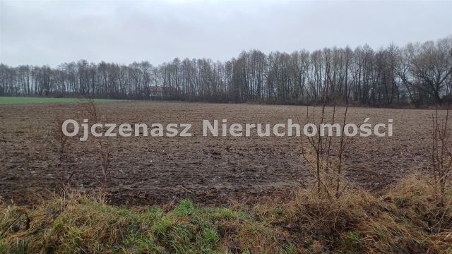 Działka rolna Więzowno. Zdjęcie 2