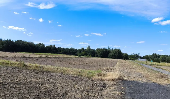 Działka budowlana Wola Krakowiańska