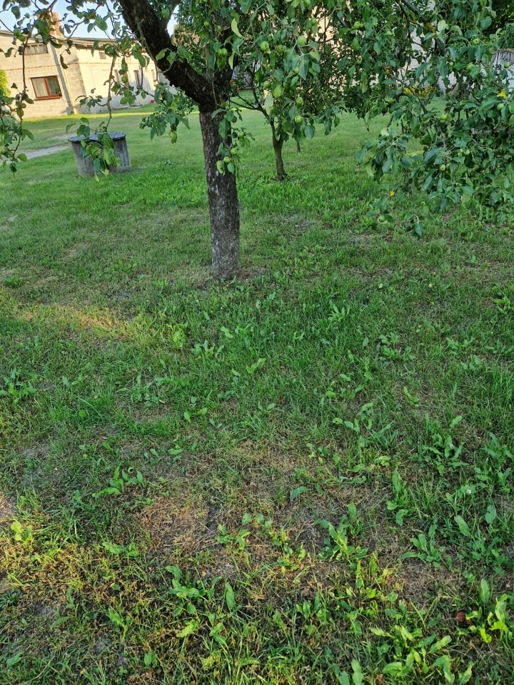 dom wolnostojący, 3 pokoje Ochotnik. Zdjęcie 14